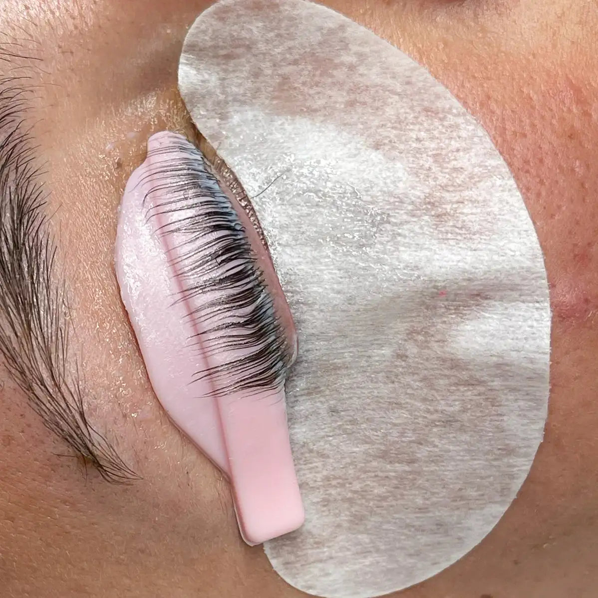 Einzelkurs: Brow & Lash Lifting | Wimpernschulung Schulungen Julija 