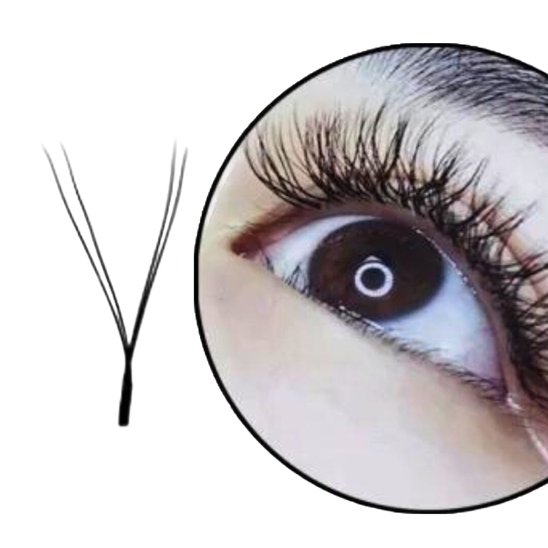 Volume Lashes